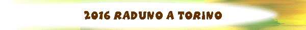 2016 Raduno a Torino